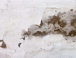 Fuktskada i källare